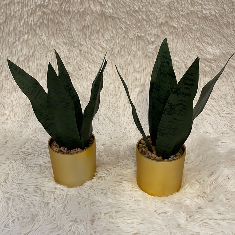 Artificial Spider Plants